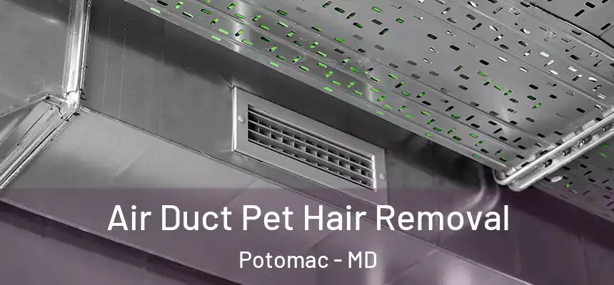  Air Duct Pet Hair Removal Potomac - MD