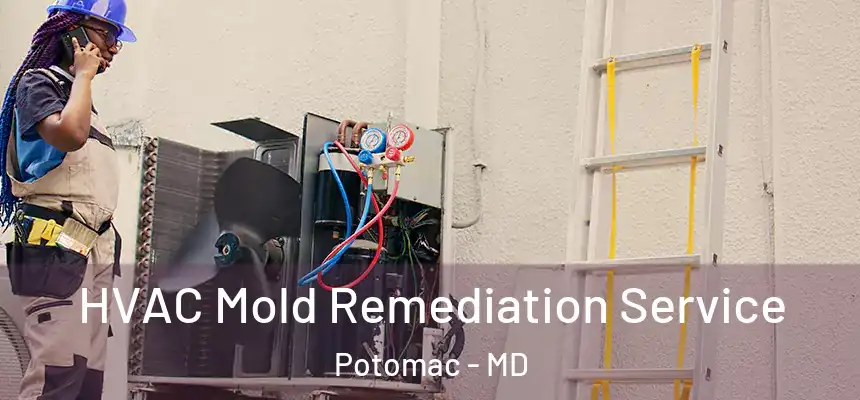  HVAC Mold Remediation Service Potomac - MD