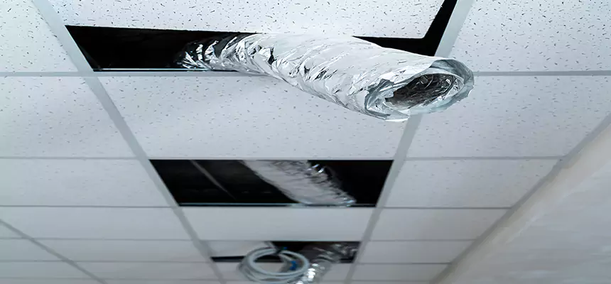 Our Air Duct Pet Hair Removal Services in Potomac, MD