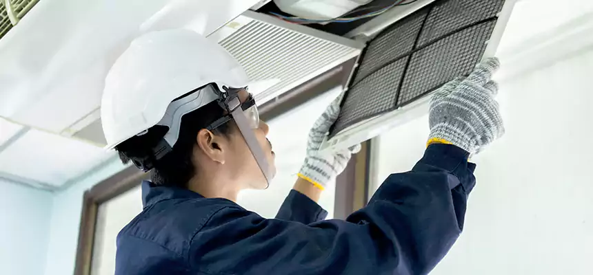 Our Mold & Mildew Removal from Air Ducts Services in Potomac, MD