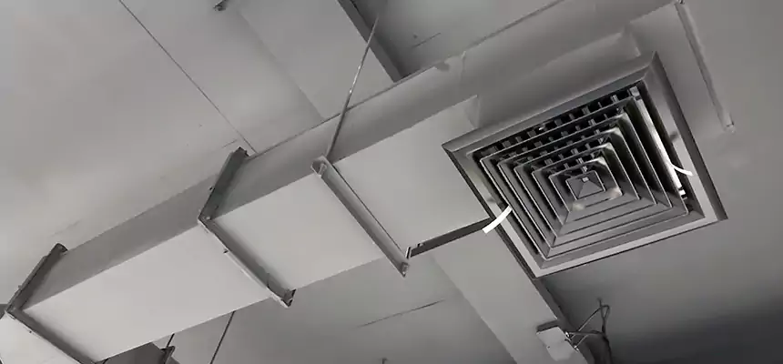 Our Rodent Droppings In Vents Services in Potomac, MD