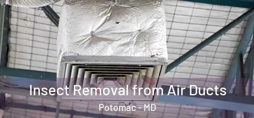  Insect Removal from Air Ducts Potomac - MD