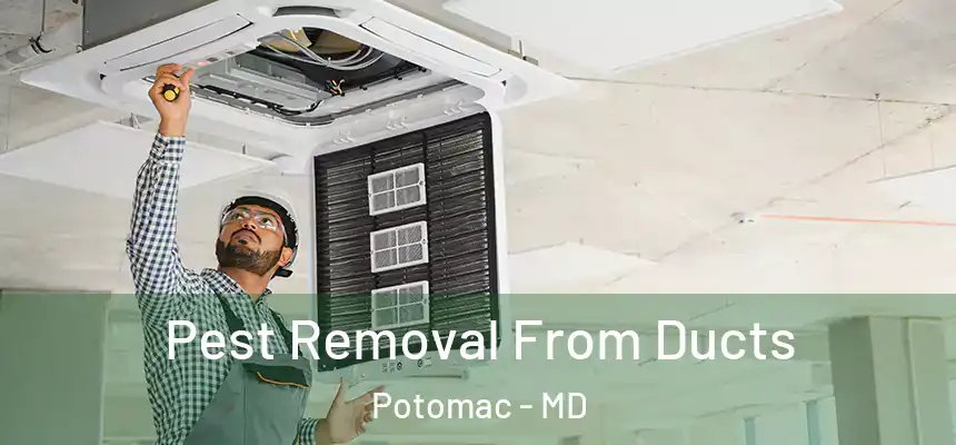 Pest Removal From Ducts Potomac - MD