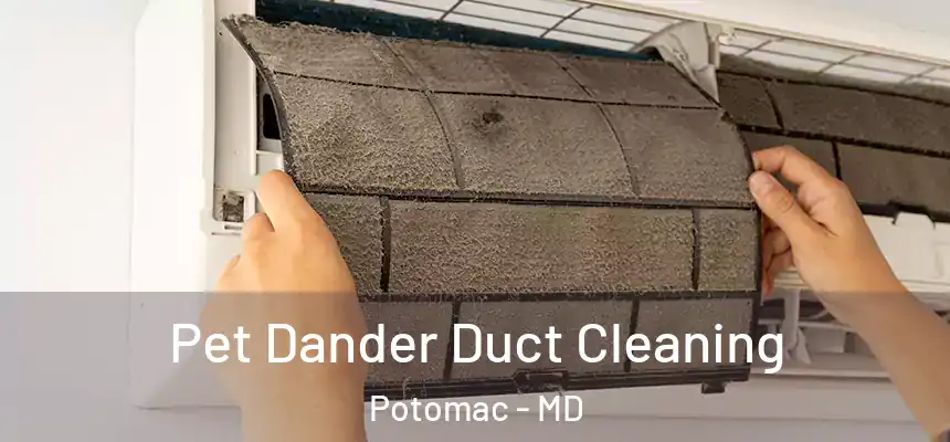 Pet Dander Duct Cleaning Potomac - MD