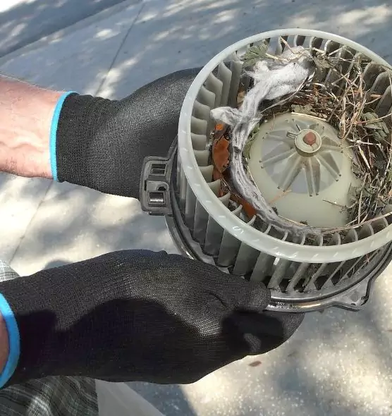 About Air Duct Rat Removal in Potomac, MD