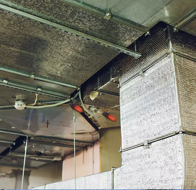 Why Homeowners & Businesses Trust Us in Potomac, MD?